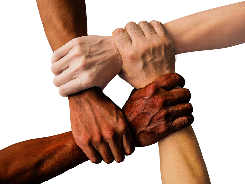 Group Counselling Sessions